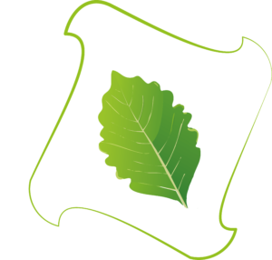 Grönt löv med texten 'Internal Carbon Pricing (ICP)' runt, inramat av en böjd grön linje.